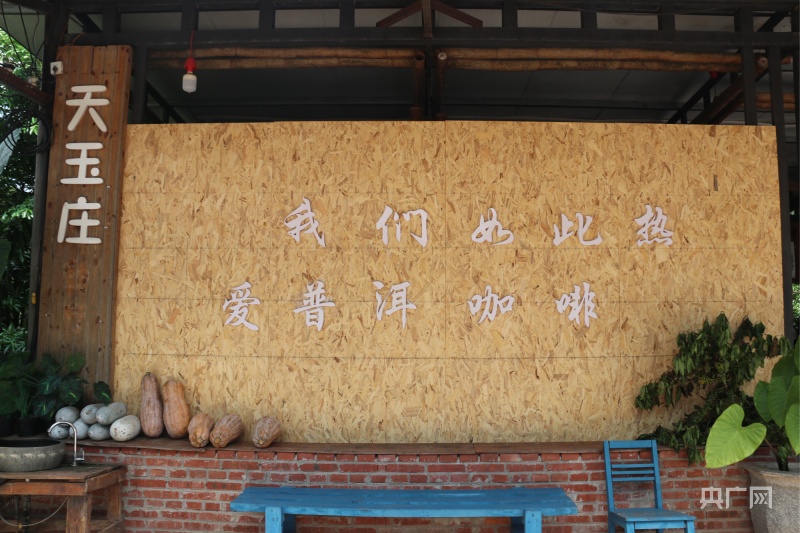 开云彩票普洱：从一颗好豆子到一杯好咖啡(图2)