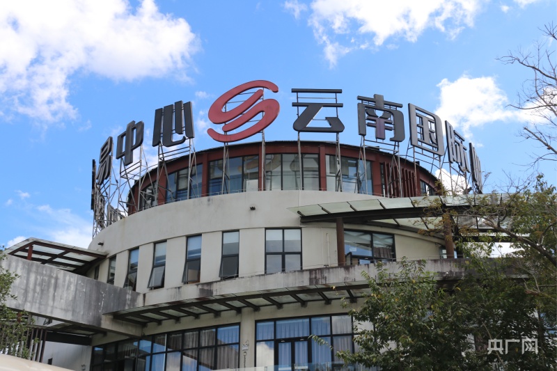 开云彩票普洱：从一颗好豆子到一杯好咖啡(图4)