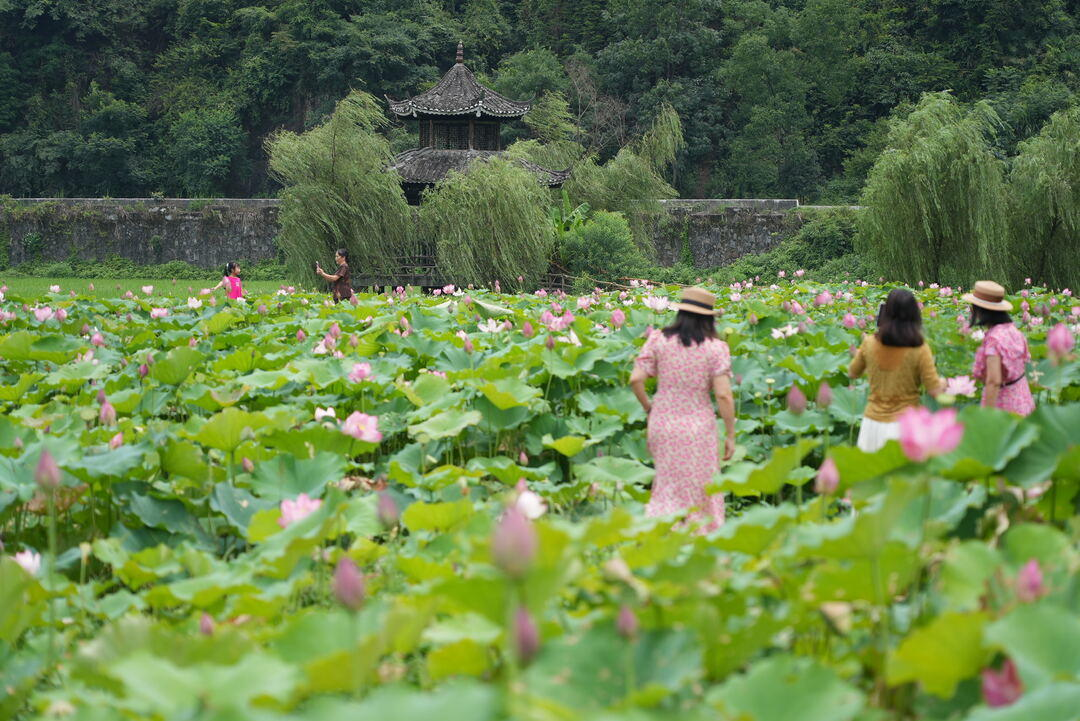 开云彩票湖南中方：激发县域经济高质量跨越式发展新动能(图7)