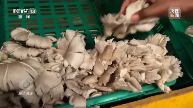 开云彩票焦点访谈丨命运与共的发展之路——丝路同行(图10)