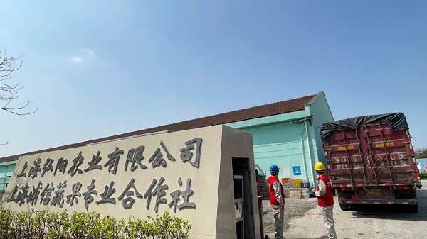 开云彩票优质服务助力乡村振兴 青浦“满格电力”护航果蔬丰收(图1)
